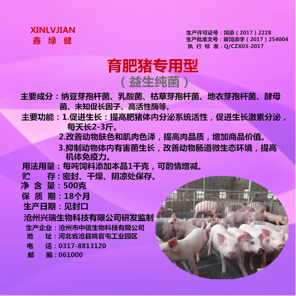 育肥豬圖片/育肥豬樣板圖 (1)