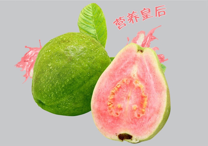芭樂圖片/芭樂樣板圖 (2)