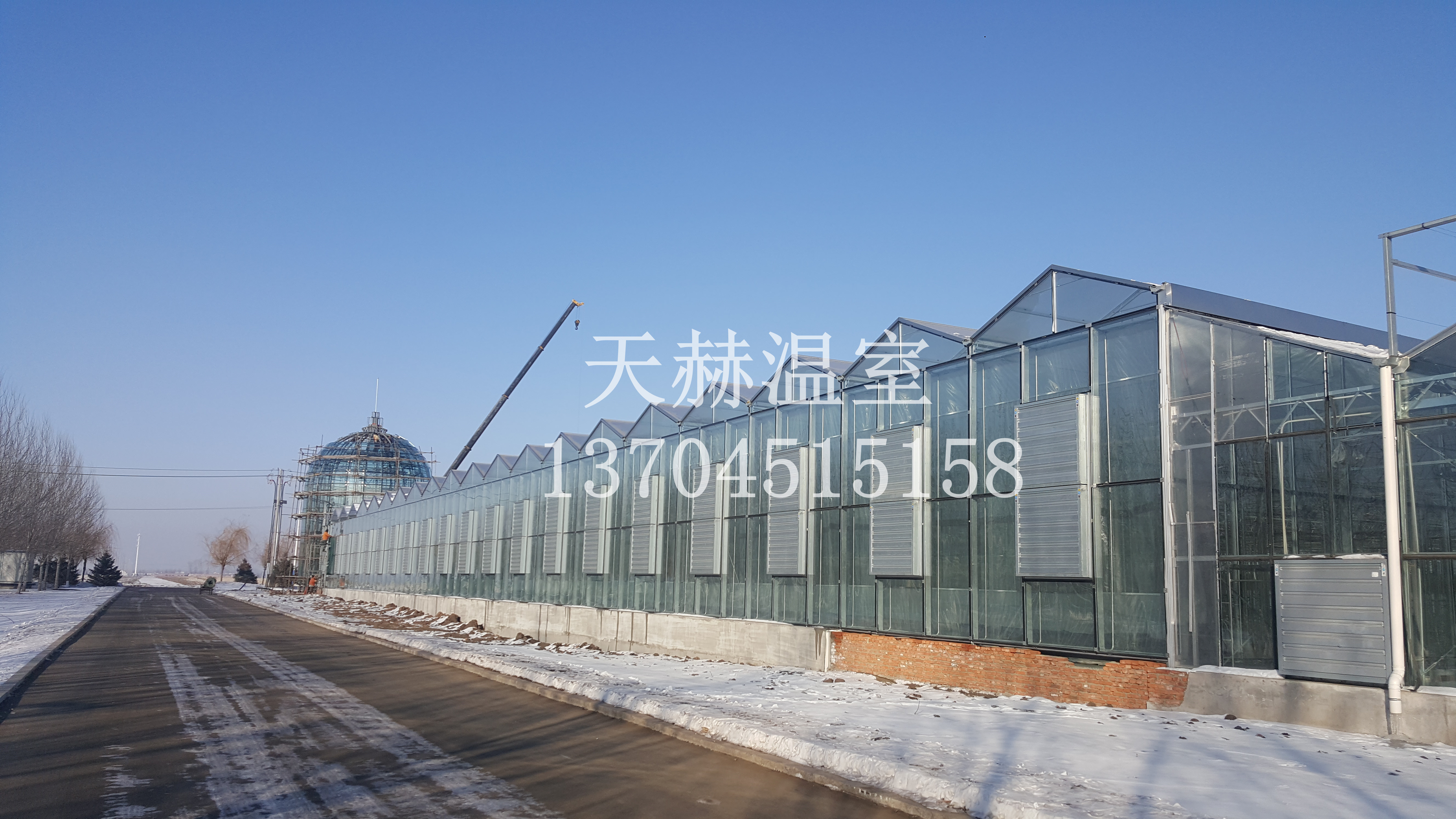 東北陽(yáng)光板溫室怎么制作更保暖呢圖片