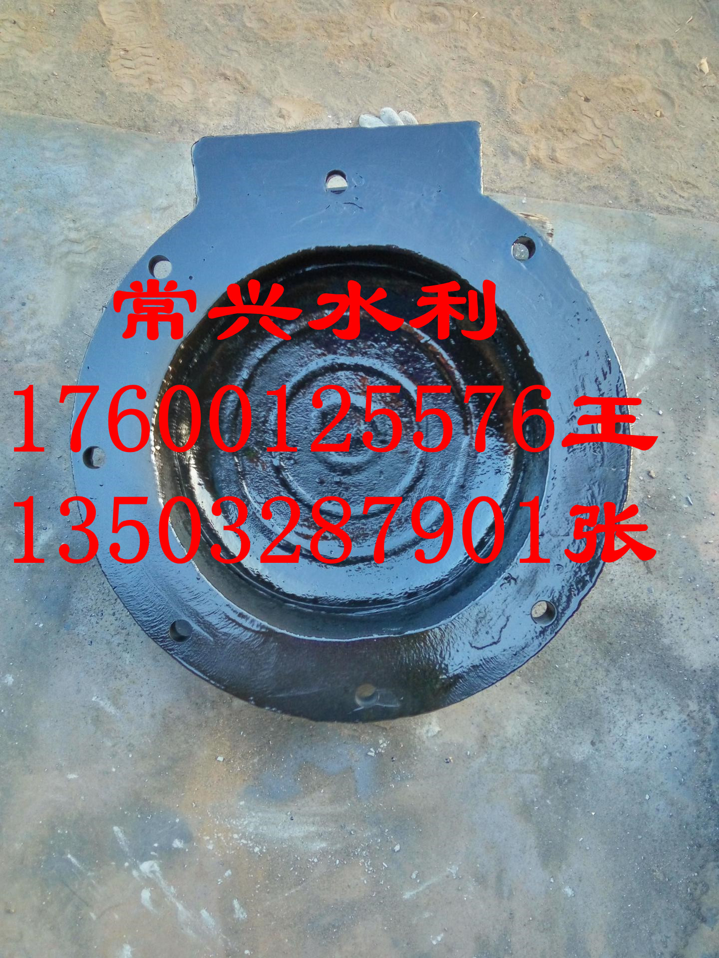 天津300拍門供應(yīng)商圖片/天津300拍門供應(yīng)商樣板圖 (2)