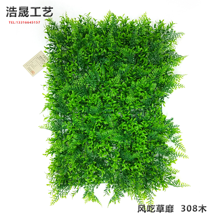 草皮圖片/草皮樣板圖 (3)