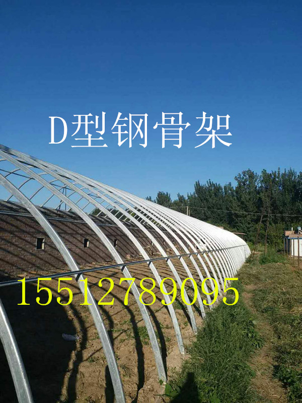 熱鍍鋅雙梁骨架圖片/熱鍍鋅雙梁骨架樣板圖 (4)