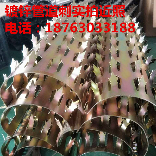 防爬刺圖片/防爬刺樣板圖 (3)