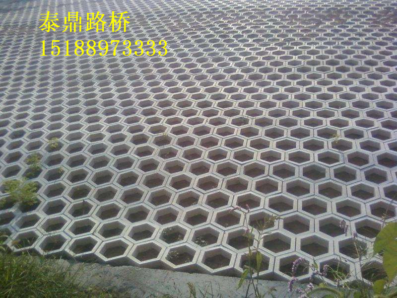 護(hù)坡模具圖片/護(hù)坡模具樣板圖 (3)
