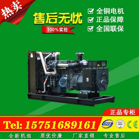 國產(chǎn)機(jī)組低油耗250KW上海申動(dòng)柴油發(fā)電機(jī)組.上海廠銷