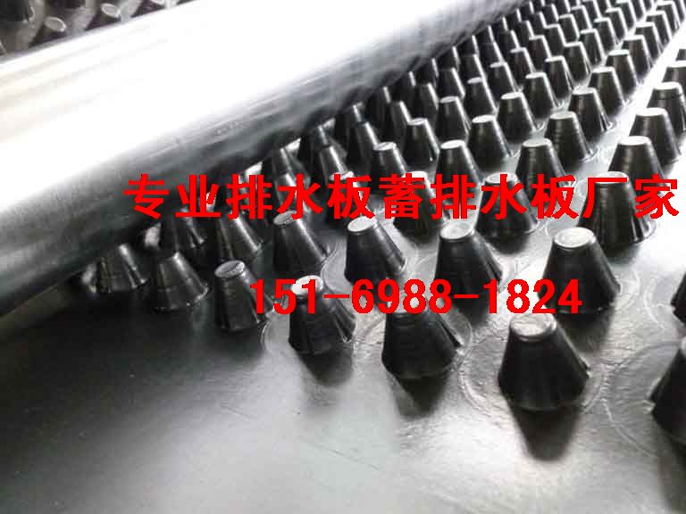 車庫綠化排水板圖片/車庫綠化排水板樣板圖 (1)