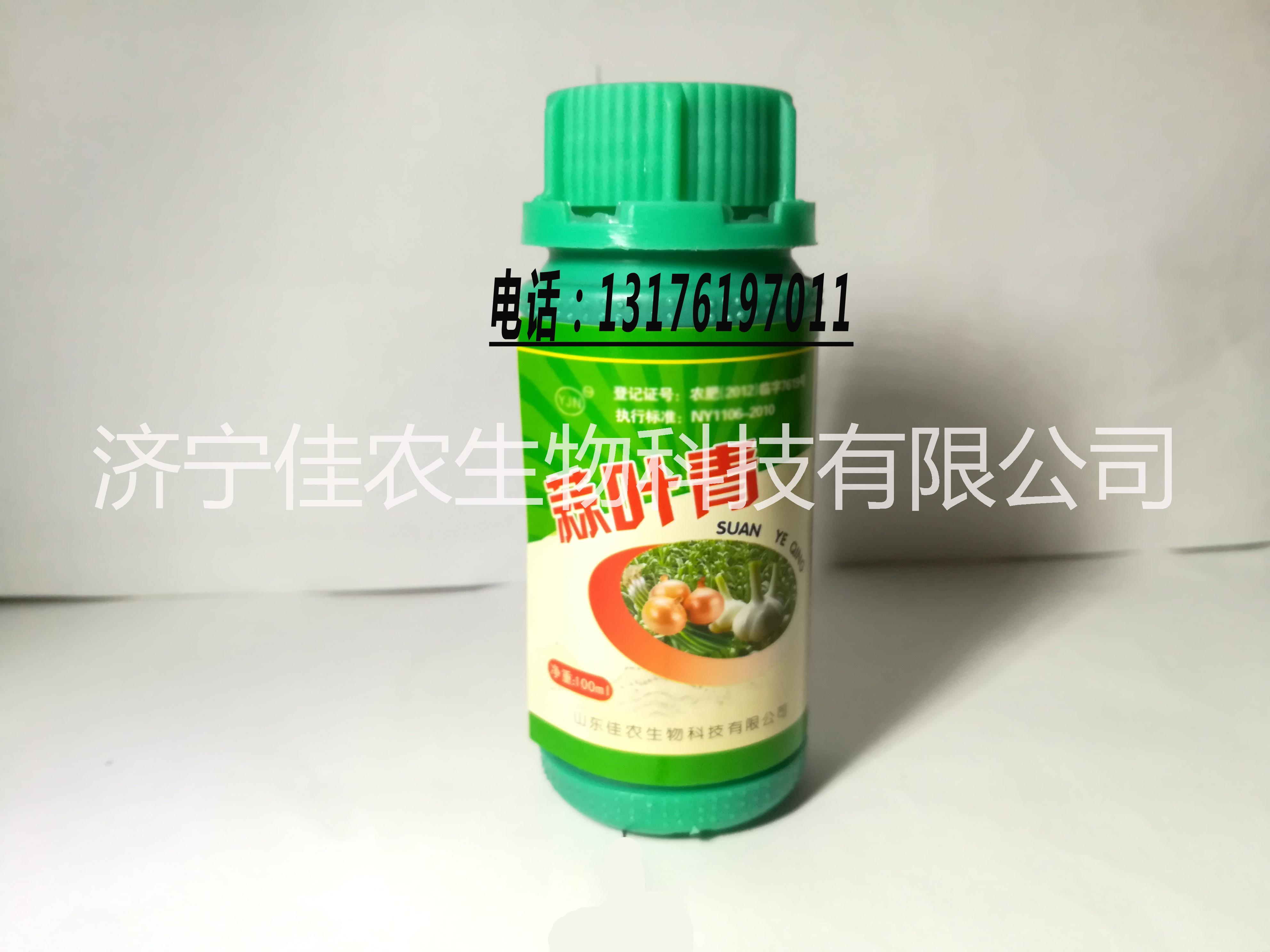 大大改善因缺素引起的蔥、姜、蒜苗弱、心葉發(fā)黃、表面皺縮等現(xiàn)象 供應(yīng)遼寧 蒜葉青葉面噴施肥批發(fā)