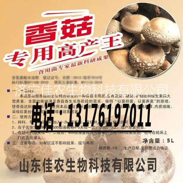 供應(yīng)湖北香菇專用高產(chǎn)王食用菌大棚圖片/供應(yīng)湖北香菇專用高產(chǎn)王食用菌大棚樣板圖 (2)