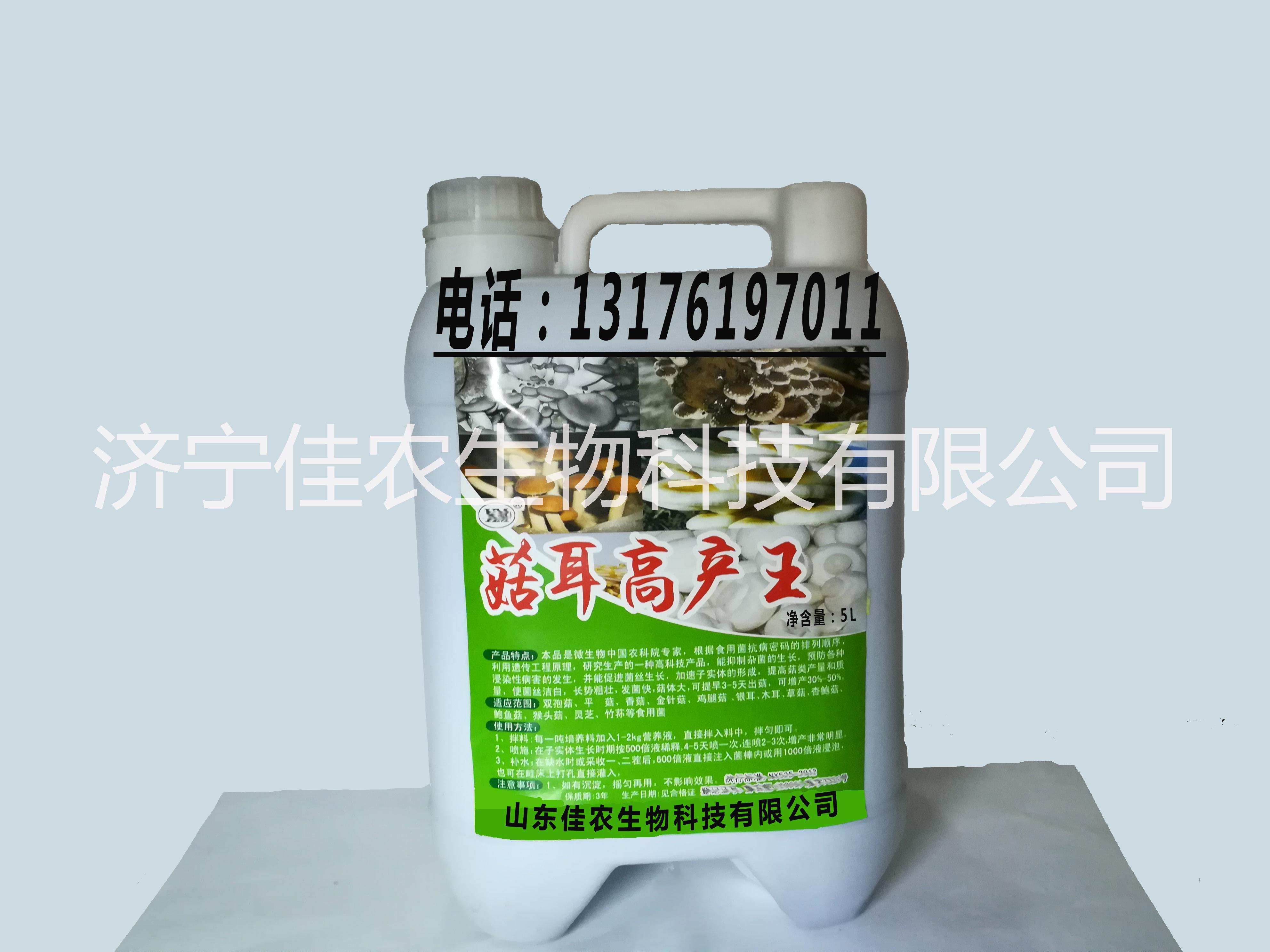 供應(yīng)批發(fā)【菇耳高產(chǎn)王】食用菌大棚批發(fā)銷售 發(fā)菌快，菇體大 供應(yīng)江西 菇耳高產(chǎn)王 食用菌大棚
