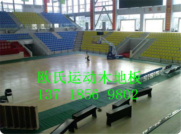 運(yùn)動地板圖片/運(yùn)動地板樣板圖 (2)