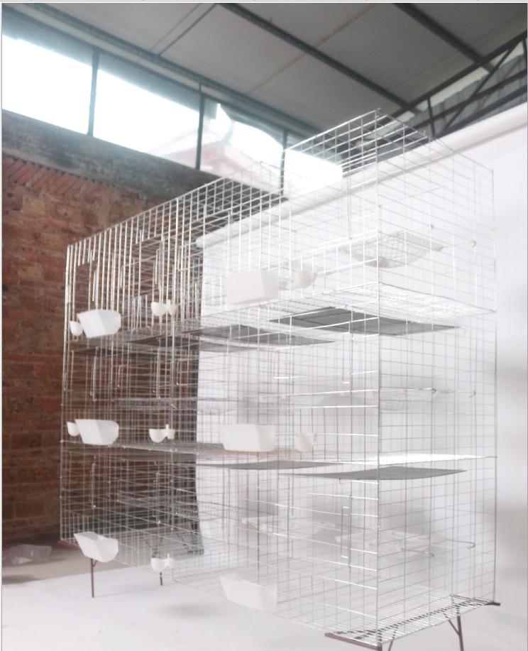 白云直銷鴿籠，雞籠，兔籠養(yǎng)殖設(shè)備 全國優(yōu)質(zhì)養(yǎng)殖設(shè)備配件 白云大量三層十二對鴿籠