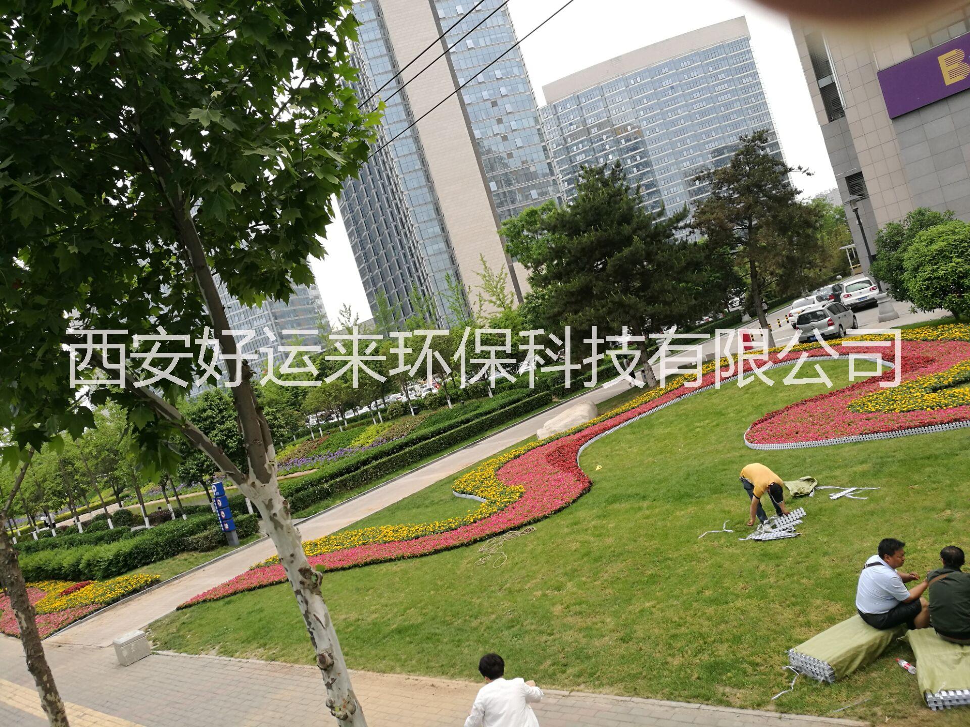 草皮圖片/草皮樣板圖 (1)