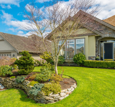 大葉圖片/大葉樣板圖 (4)