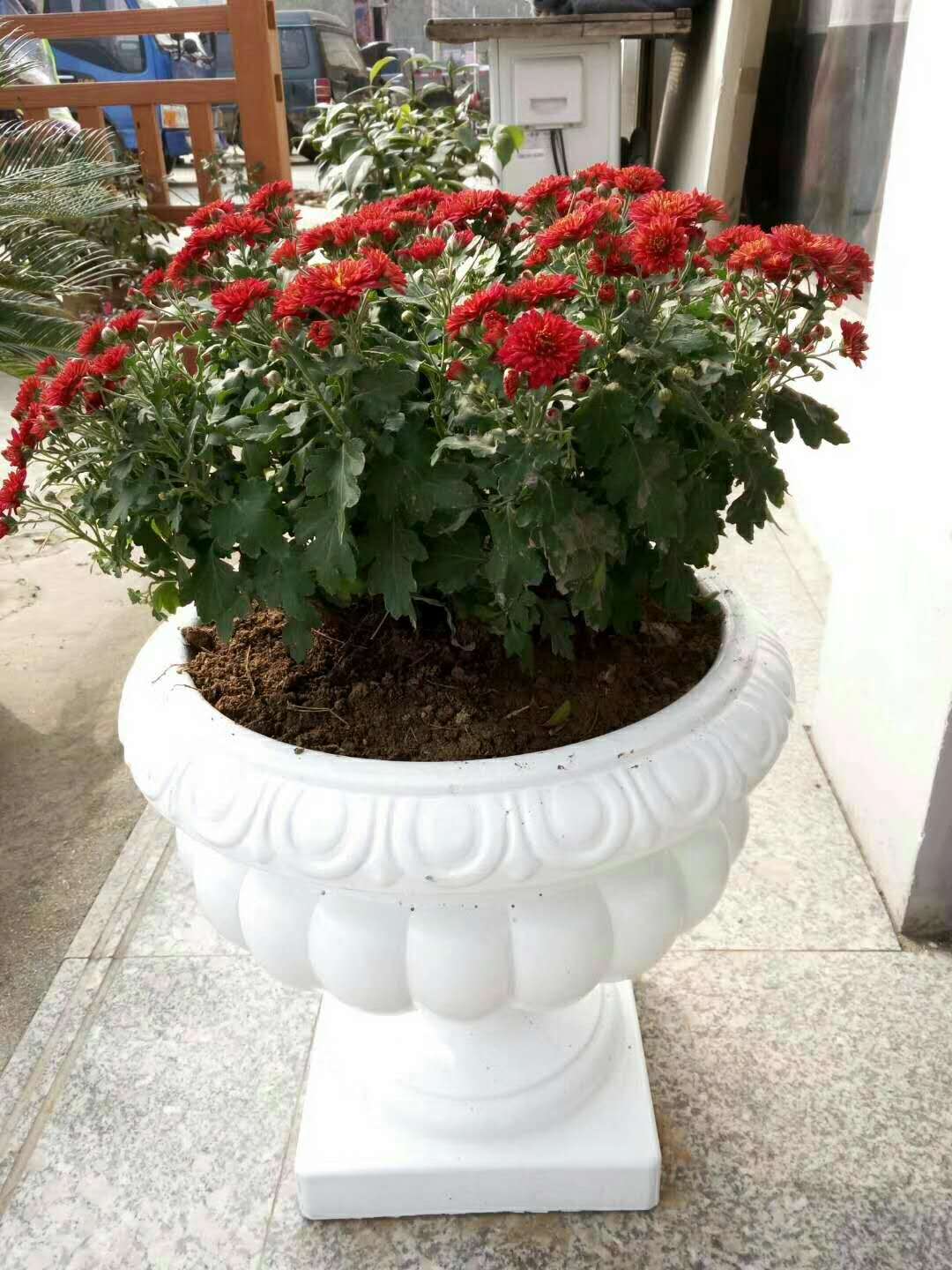 花盆 歐式花盆