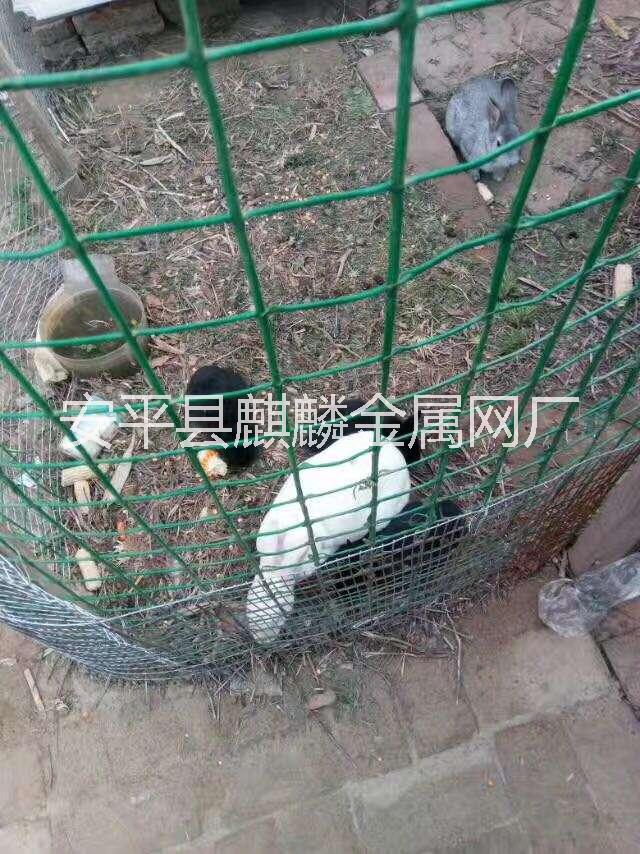 荷蘭網(wǎng)圖片/荷蘭網(wǎng)樣板圖 (2)