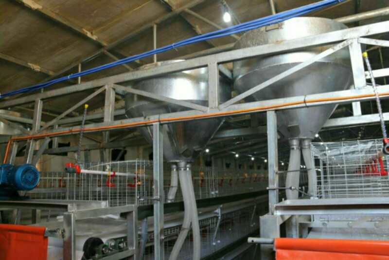 自動上料機圖片/自動上料機樣板圖 (2)