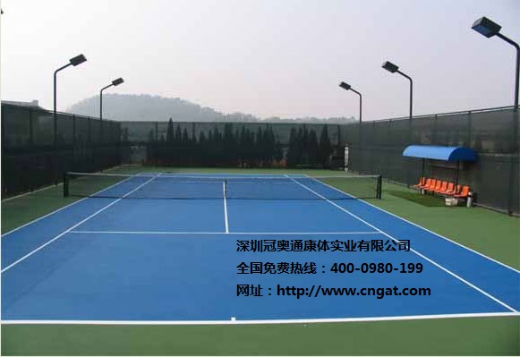 硅pu籃球場的性能特點(diǎn)圖片