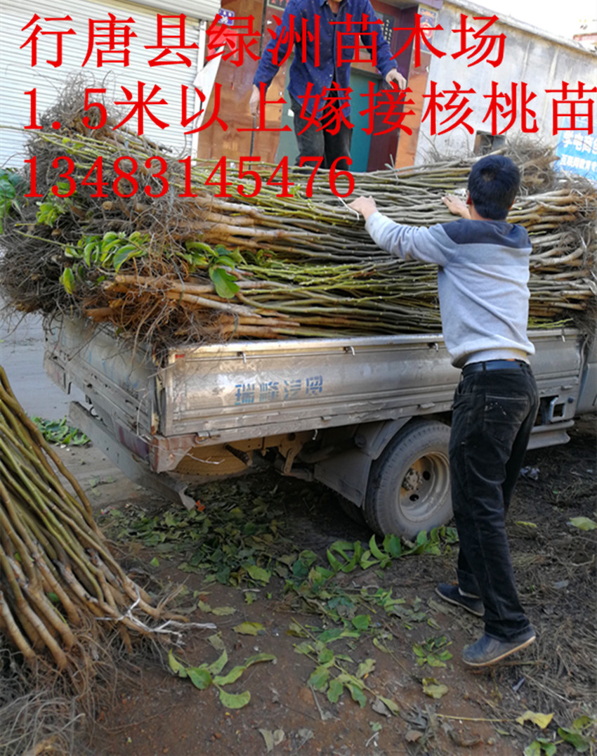 河北省圖片/河北省樣板圖 (2)