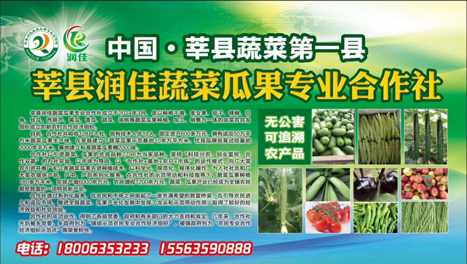 山東區(qū) 出售太空椒價格 廠家直銷 太空椒批發(fā) 太空椒聯(lián)系方式 太空椒廠家直銷