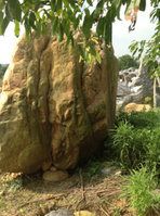 黃臘石圖片/黃臘石樣板圖 (4)