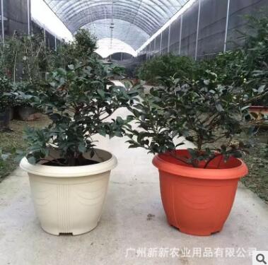 花盆圖片/花盆樣板圖 (3)