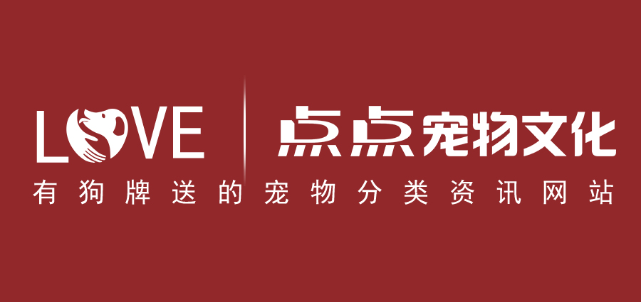 點(diǎn)點(diǎn)寵物文化-寵物數(shù)據(jù)信息圖片/點(diǎn)點(diǎn)寵物文化-寵物數(shù)據(jù)信息樣板圖 (2)