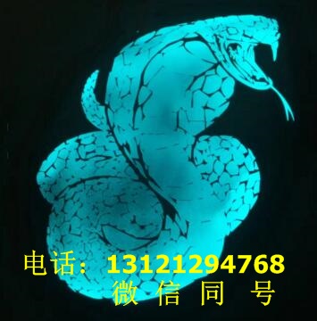 電光漆圖片/電光漆樣板圖 (2)