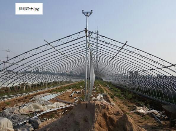 承接撫順新賓恒溫智能溫室大棚圖片/承接撫順新賓恒溫智能溫室大棚樣板圖 (4)