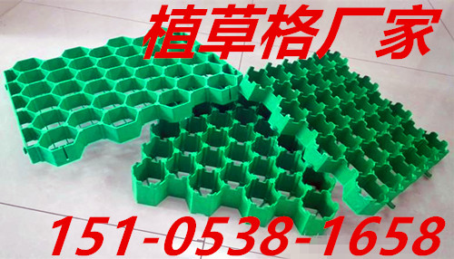 植草格圖片