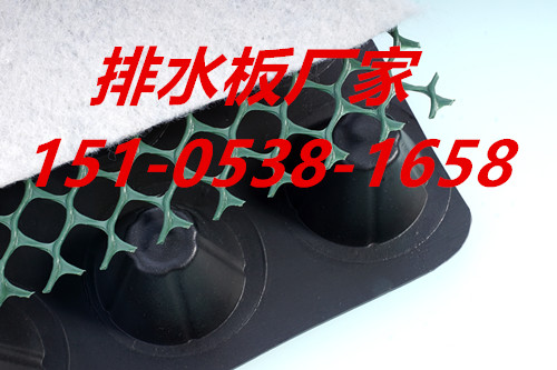 唐山塑料排水板優(yōu)質商家圖片/唐山塑料排水板優(yōu)質商家樣板圖 (2)