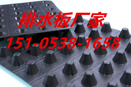 唐山塑料排水板優(yōu)質商家圖片/唐山塑料排水板優(yōu)質商家樣板圖 (4)