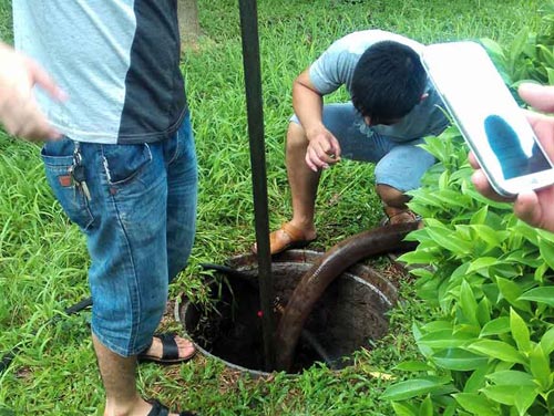 化粪池清理 污水处理 清淤泥 管道疏通