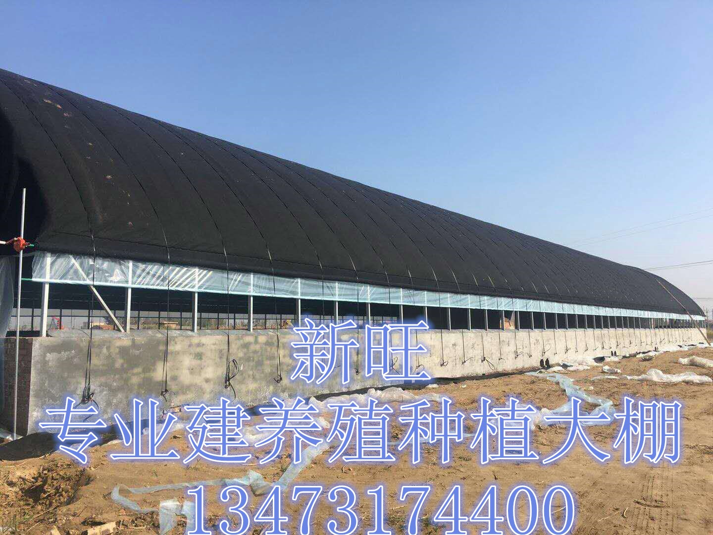河北新旺興農(nóng)養(yǎng)殖大棚廠家圖片