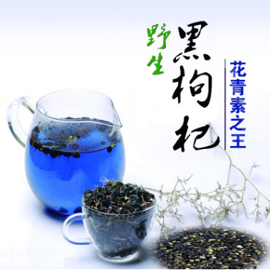 黑枸杞圖片/黑枸杞樣板圖 (1)