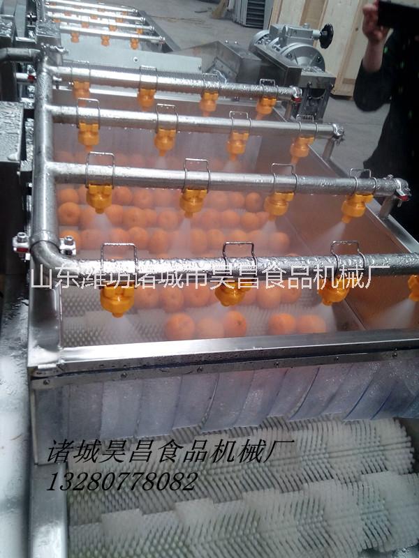 果蔬清洗機(jī)圖片/果蔬清洗機(jī)樣板圖 (2)