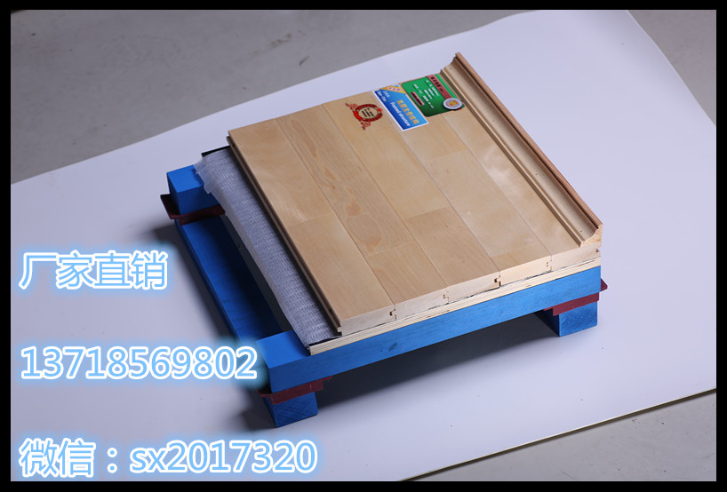 運動地板圖片/運動地板樣板圖 (3)