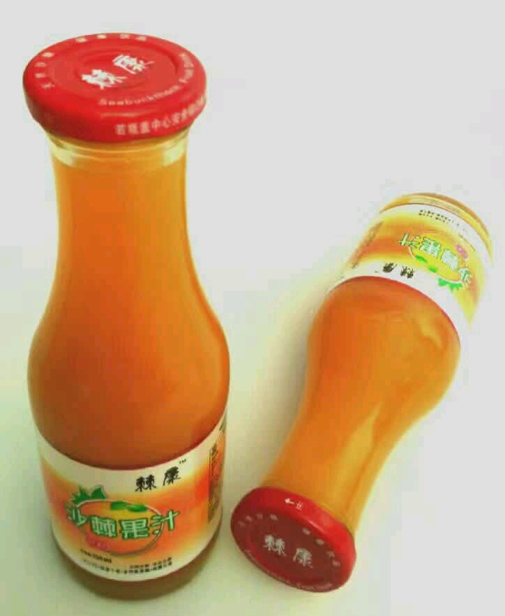 沙棘圖片/沙棘樣板圖 (2)