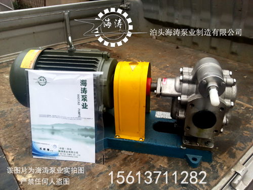 不銹鋼齒輪泵圖片