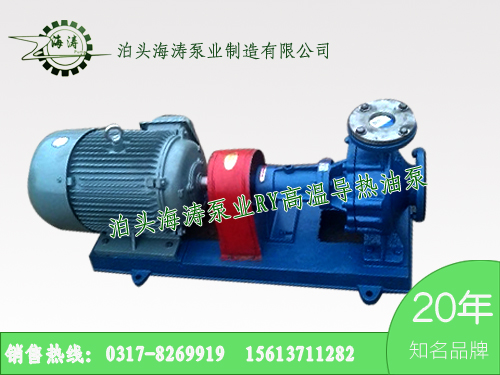RY高溫導(dǎo)熱油泵圖片/RY高溫導(dǎo)熱油泵樣板圖 (2)