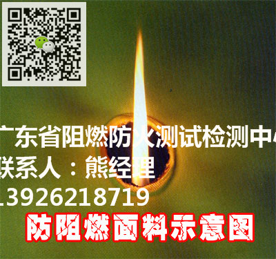 極限耐火時(shí)間測(cè)試燃燒圖片/極限耐火時(shí)間測(cè)試燃燒樣板圖 (4)