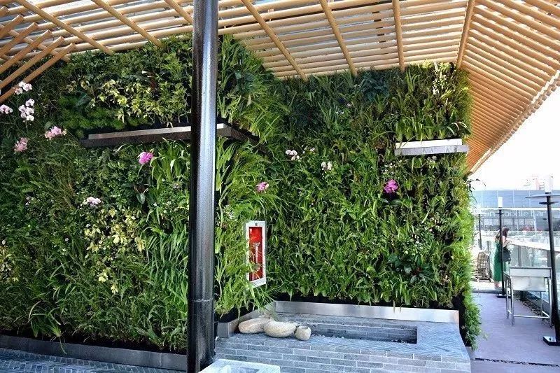 仿真綠植圖片/仿真綠植樣板圖 (3)
