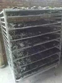 海帶烘干機圖片/海帶烘干機樣板圖 (4)