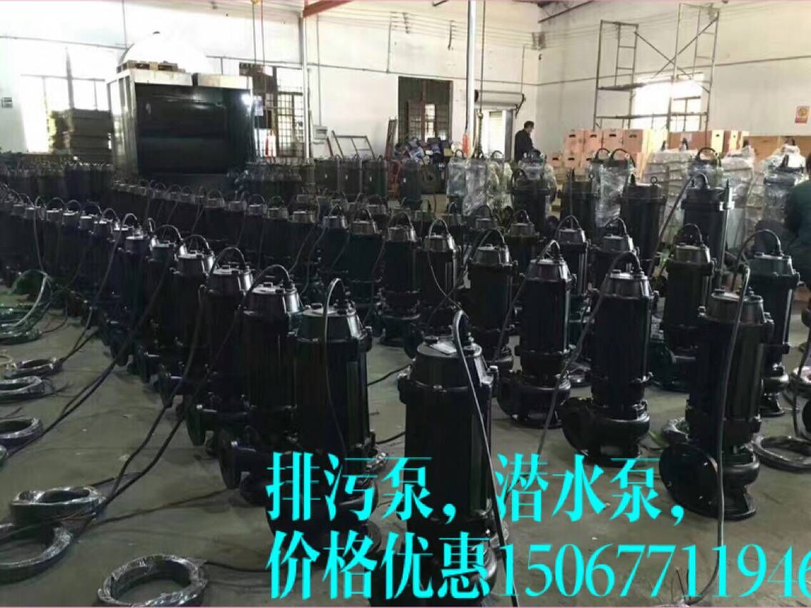 排污泵廠家：威泉泵業(yè)圖片/排污泵廠家：威泉泵業(yè)樣板圖 (1)