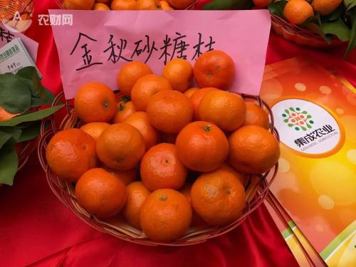 砂糖圖片/砂糖樣板圖 (4)