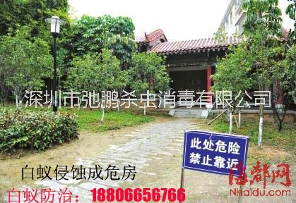 滅臭蟲公司圖片/滅臭蟲公司樣板圖 (1)