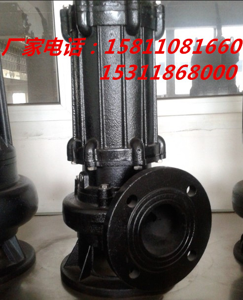 污水泵圖片/污水泵樣板圖 (4)