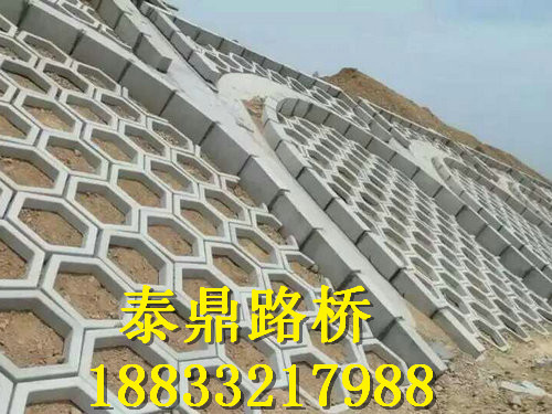 護(hù)坡模具圖片/護(hù)坡模具樣板圖 (4)