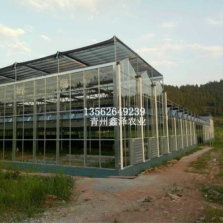 蔬菜玻璃溫室 保溫蔬菜玻璃溫室 專業(yè)建設蔬菜玻璃溫室廠廠家直銷