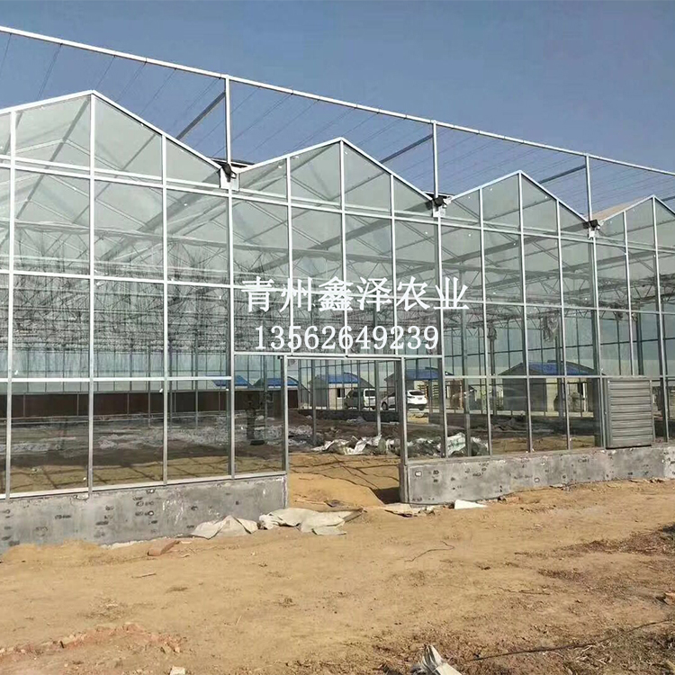 園藝觀光玻璃溫室大棚 全自動智能溫室大棚價格 文洛玻璃溫室大棚