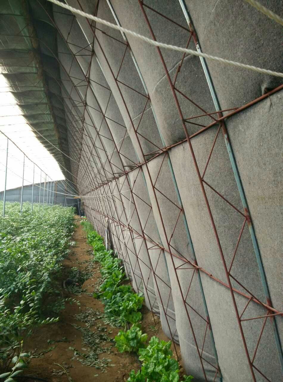 種植蔬菜、瓜果、蘑菇圖片